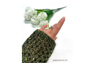 Королева 250м